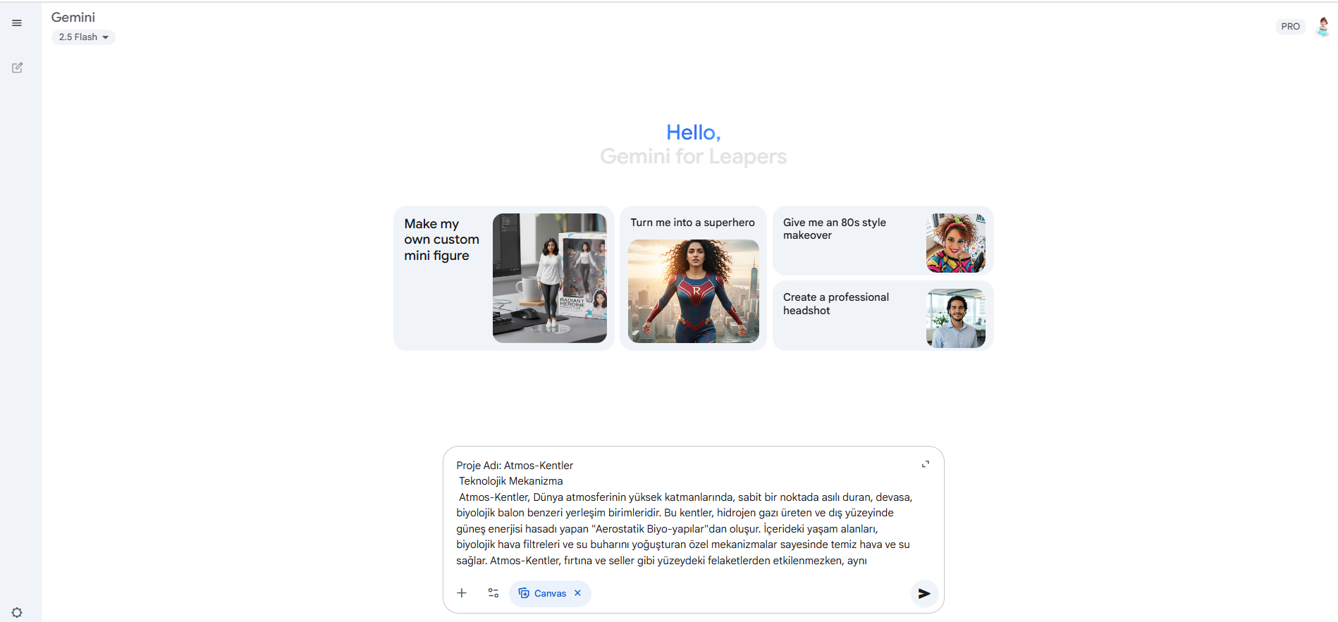 Gemini ana arayüzü